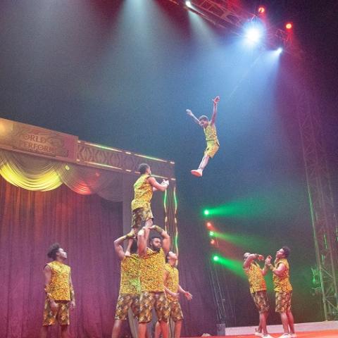 ポップサーカス 新潟公演 | チケットぴあ[チケット購入・予約]