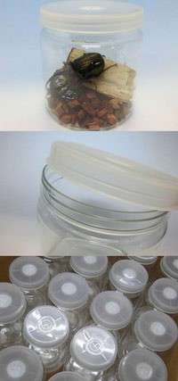 クリアボトル1400【ブリーダーズファーム製】の販売 | モンスター