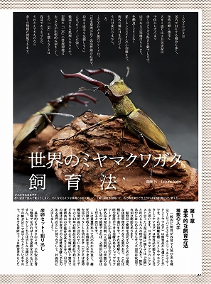 BE-KUWA No.75 世界のミヤマクワガタ大特集 | モンスター