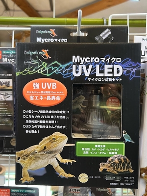 マイクロ UV LED E26 ホワイト ワイルドスカイwildsky・カエル専門店