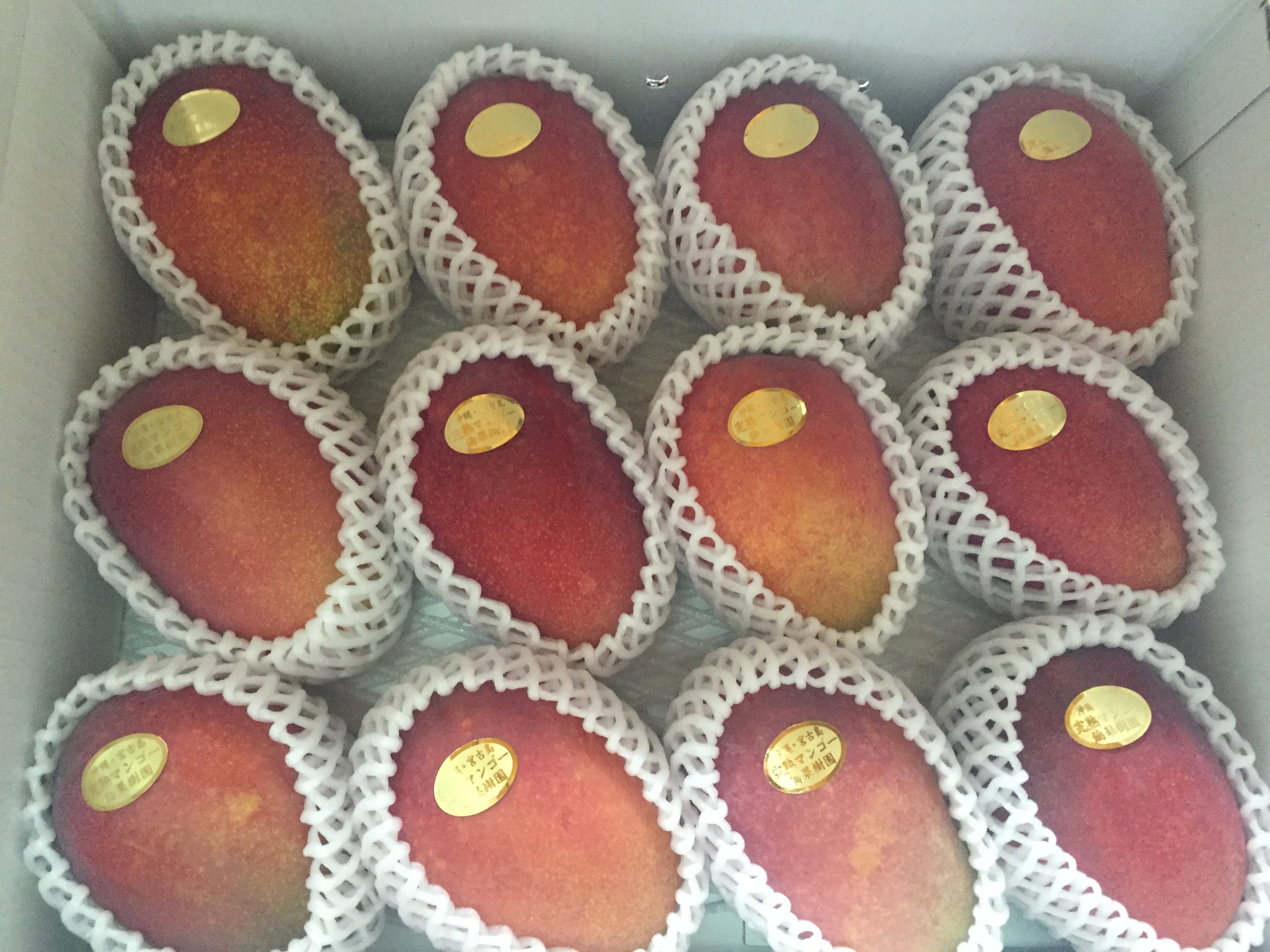 宮古島産マンゴー 良品4.5kg（白箱入） | RIN−KAJUEN