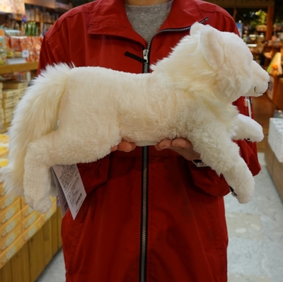 ひざオオカミ ホッキョクオオカミ S 【Original】 | 那須どうぶつ王国