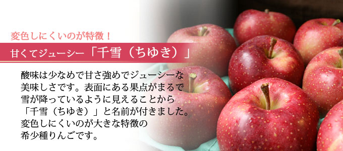送料無料】青森県産りんご 千雪 秀品 約5kg（14-20個入）認証なし