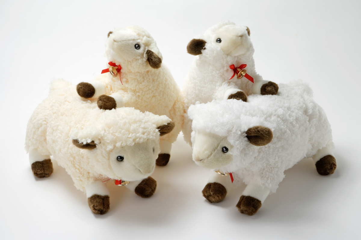 モコモコ！ヒツジのぬいぐるみ | 生物園オンラインショップ