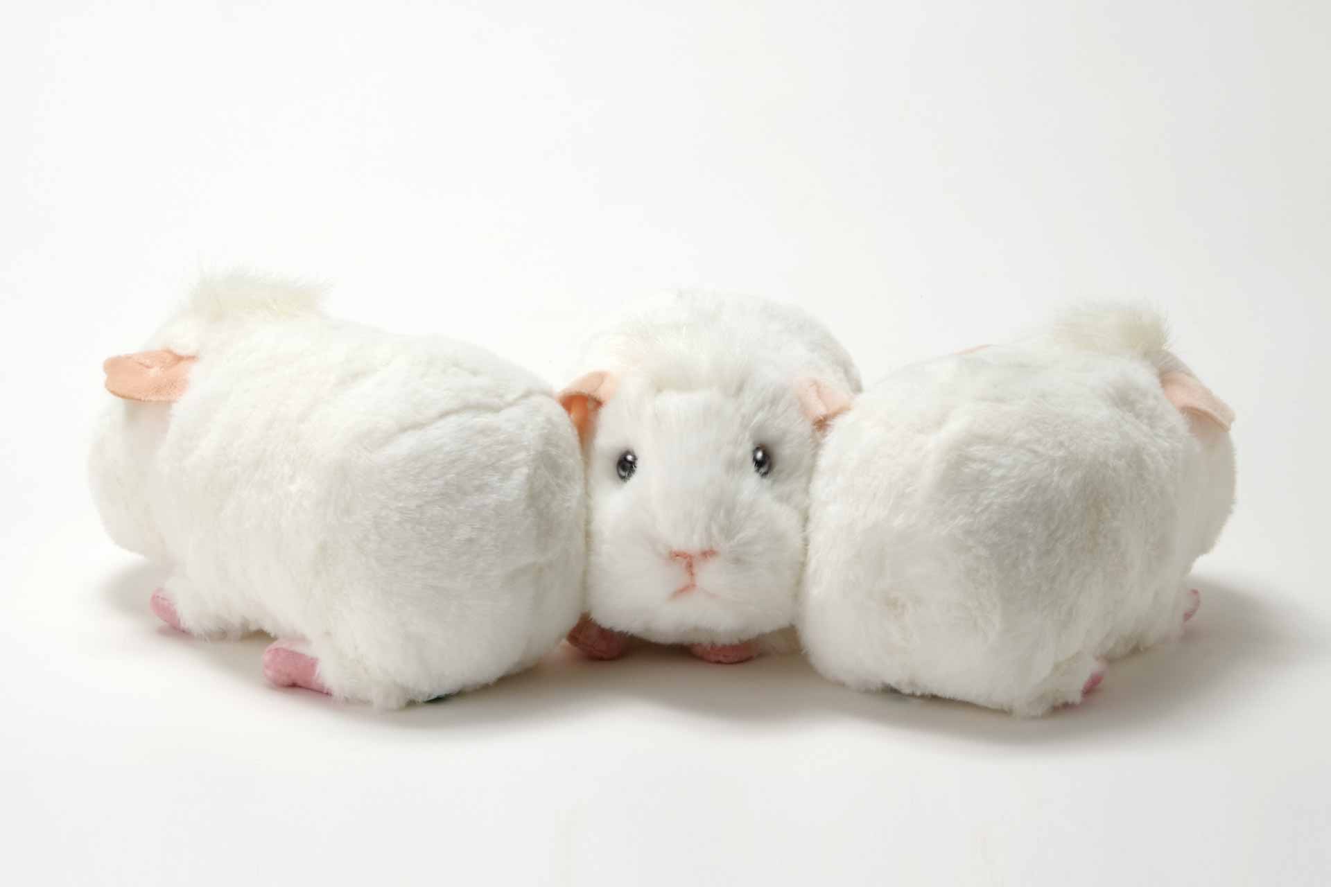 プイっと鳴く！リアルなモルモットのぬいぐるみ | 生物園オンライン