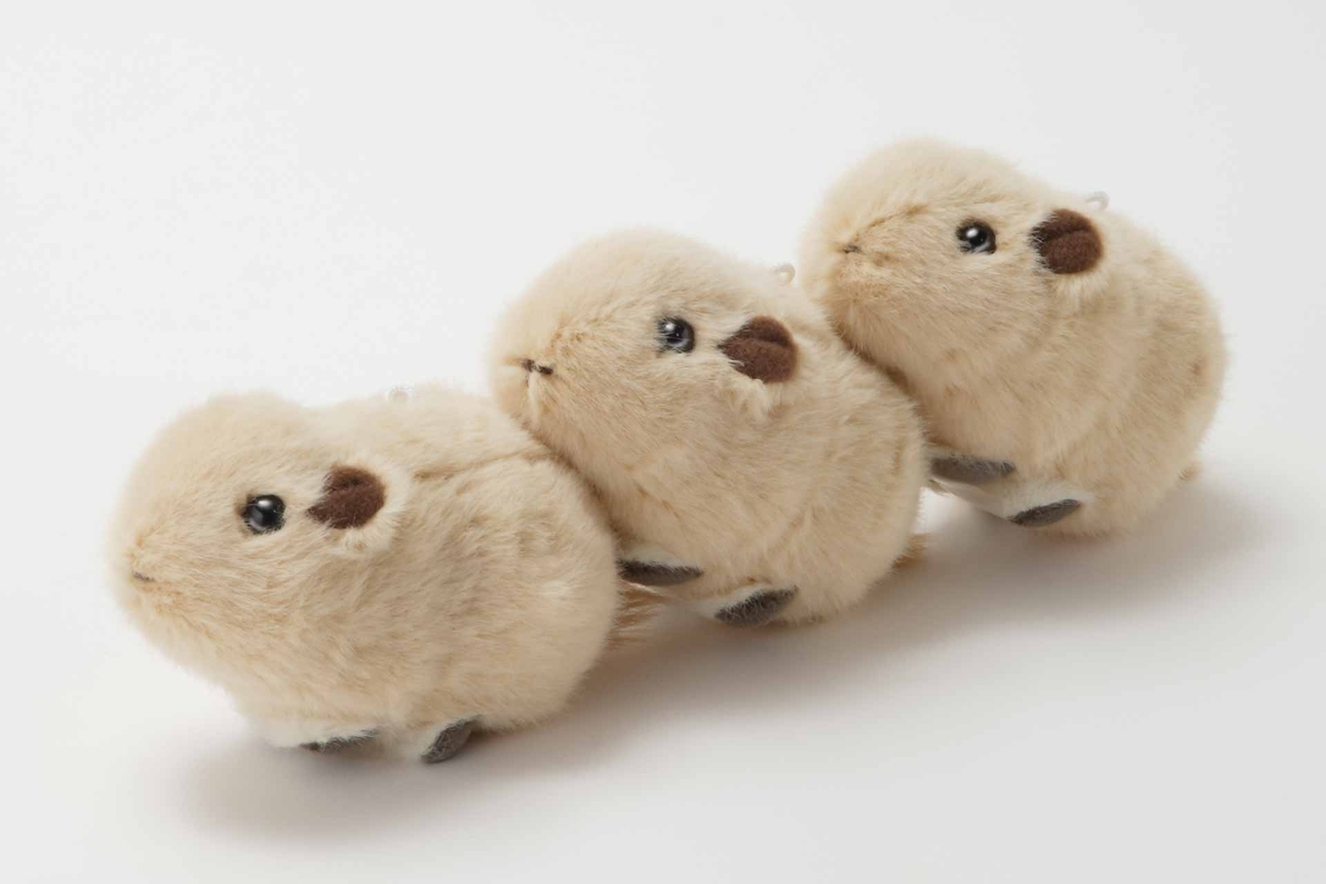 オリジナル】グンディますこっとぬいぐるみ（ボールチェーン付