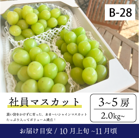 10月～11月のぶどう