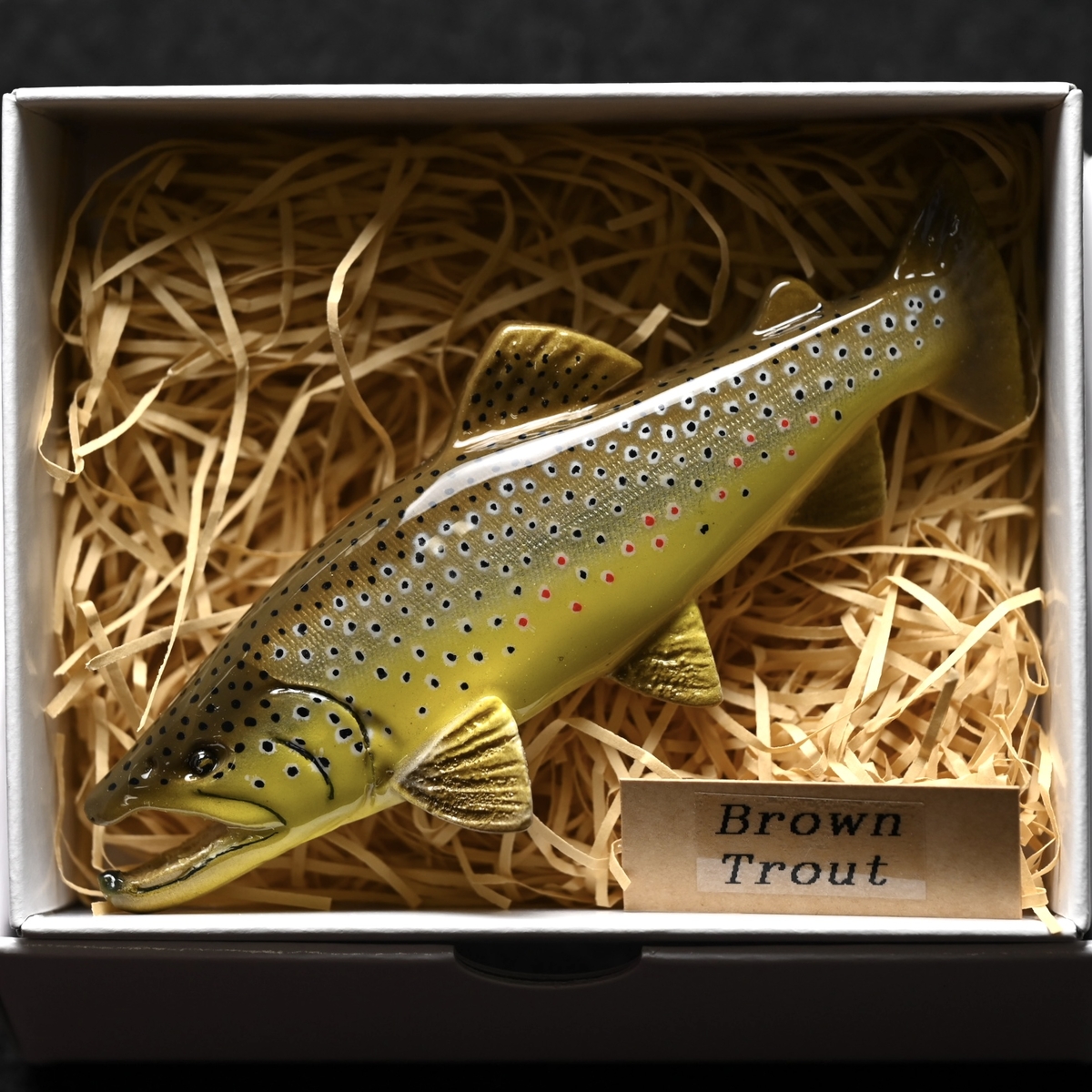 2023NEW】ササキ屋 ｜トラウトブローチ｜color:ブラウントラウト