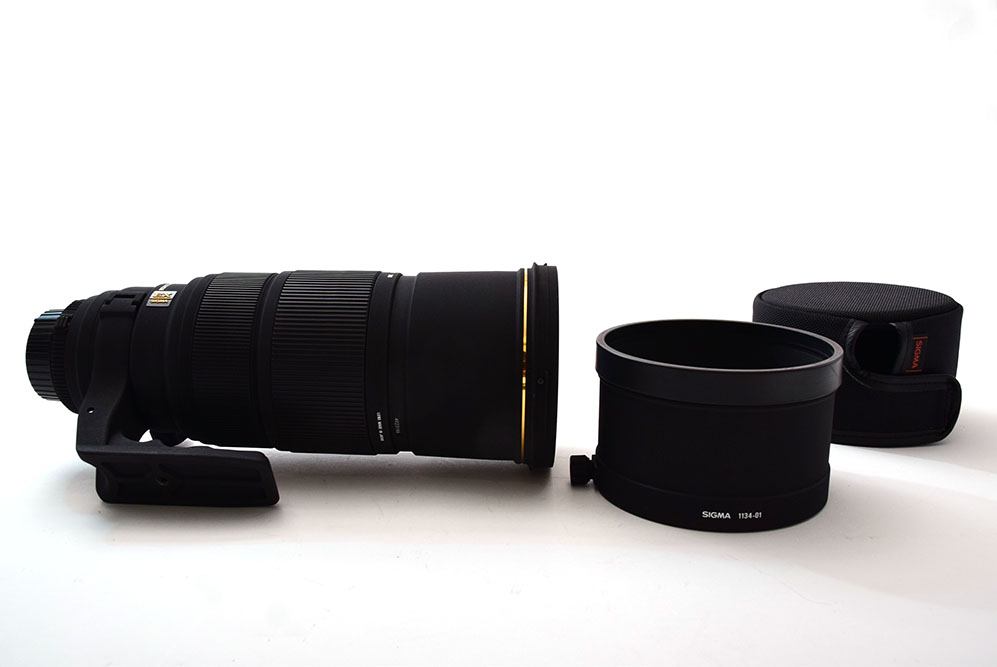 シグマ SIGMA 120-300mm F2.8 DG OS HSM | Sports | メディアジョイカメラ