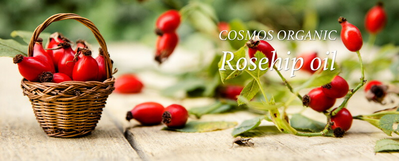 エイキンAkin Organic Rosehip Oil 45ml Amazon.co.jp: A'kin (エイキン) 100%認定オーガニックローズヒップ