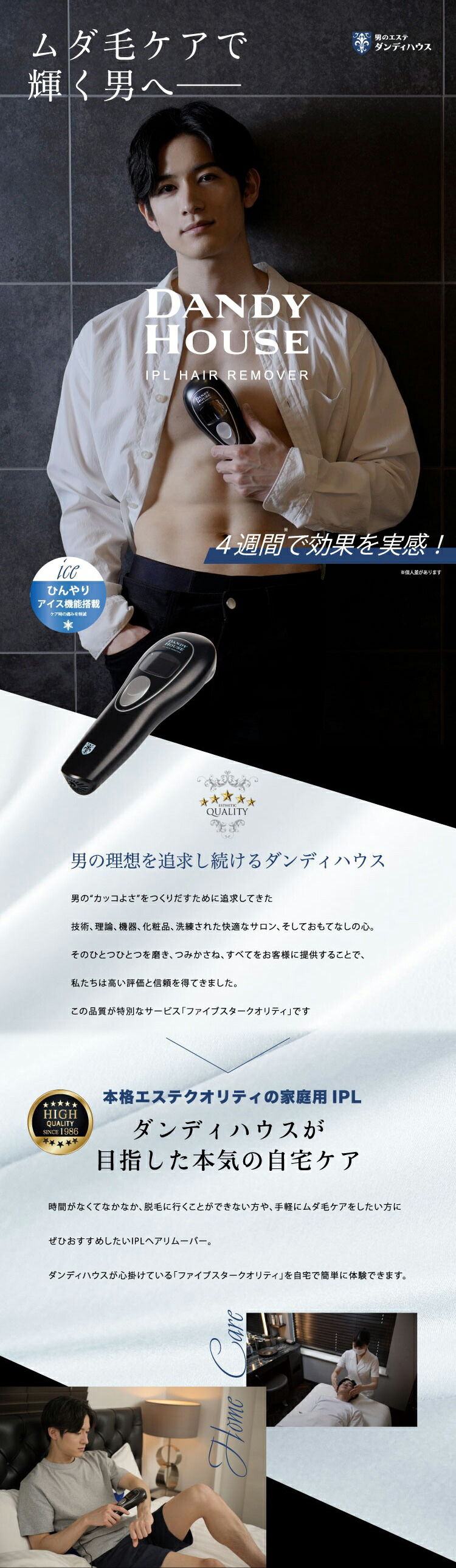 楽天市場】脱毛器 ダンディハウス公式 IPLヘアリムーバー メンズ 冷感