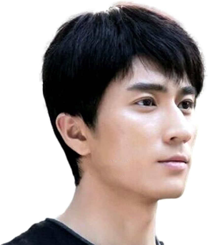 楽天市場】ナチュラル ウィッグ メンズ 軽やかな質感と自然なツヤ 耐熱