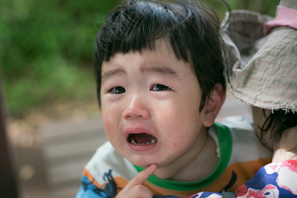 Canon EF50mm F1.8 STM 試写レポート