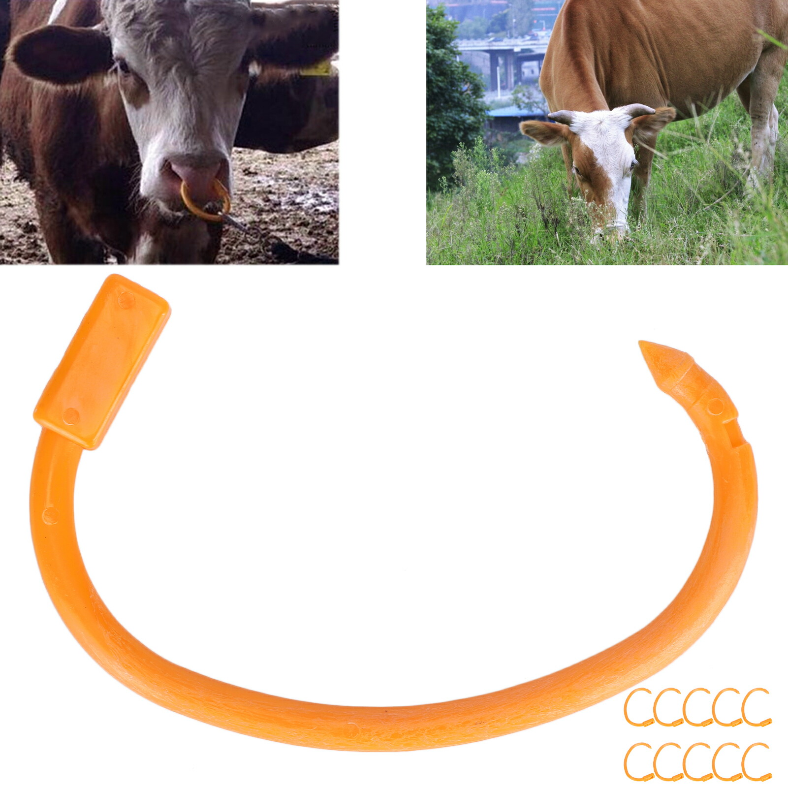 楽天市場】牛用鼻輪 牛用鼻輪 非毒性 : MeiyidouSHOP