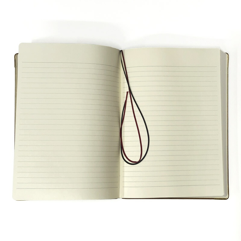 アピカ プレミアムCDノート A5サイズ 限定品 本革表紙 CDX1700Y レザー