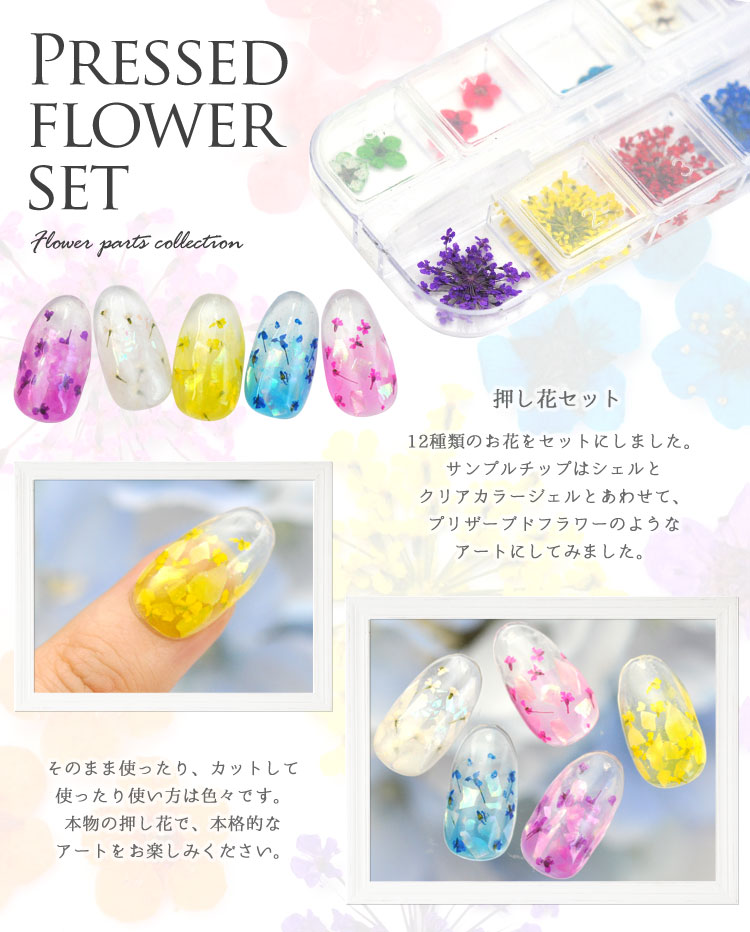 ジェルネイル＆レジンに♪押し花12種類セット フラワーお試しセット