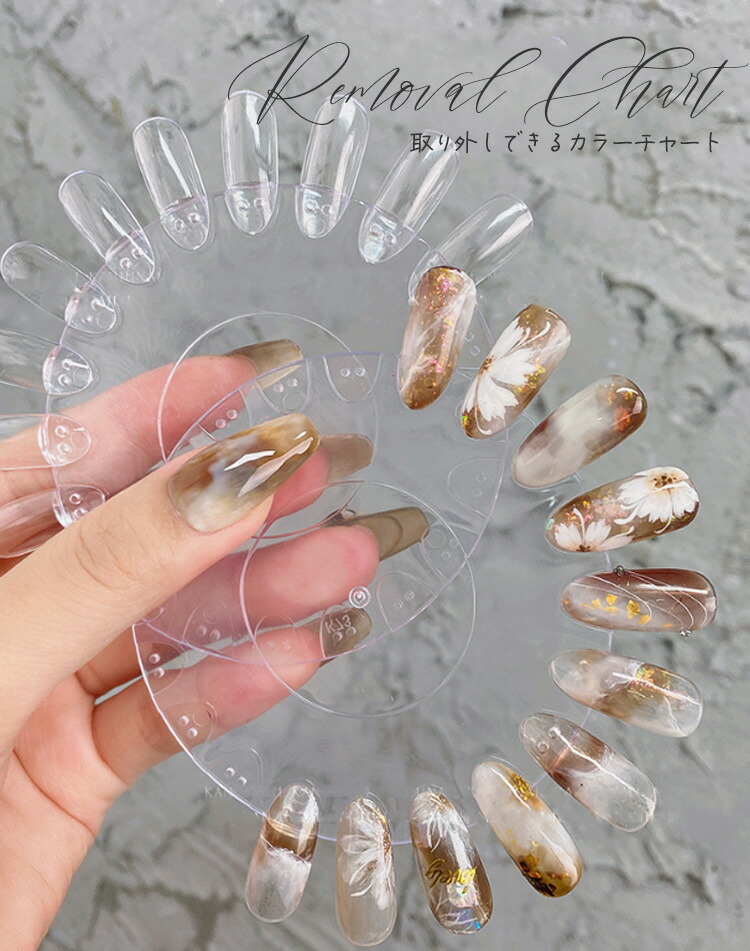 カラーチャート 着脱式円盤セット 色見本 チャート 展示 ジェルネイル