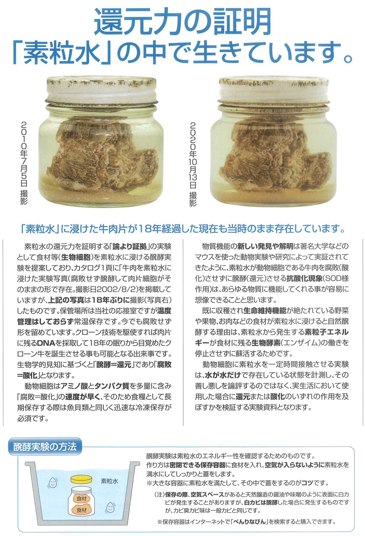 楽天市場】【特典付き】◇ 素粒水 を創る 浄水器 ・ワンウォーターECO