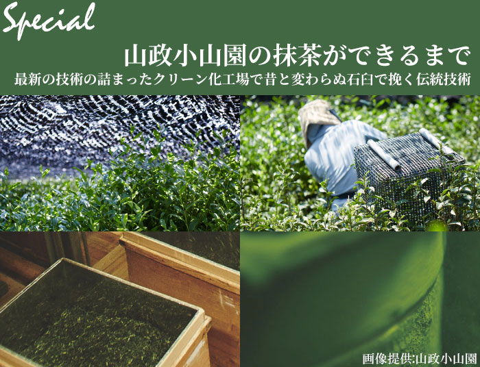 楽天市場】抹茶 小山園 小倉山300g缶京都宇治山政小山園Matcha Green