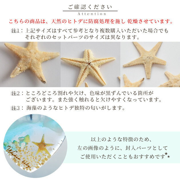楽天市場】天然 リアル ヒトデ 10枚入 □ レジン アクセサリー 封入
