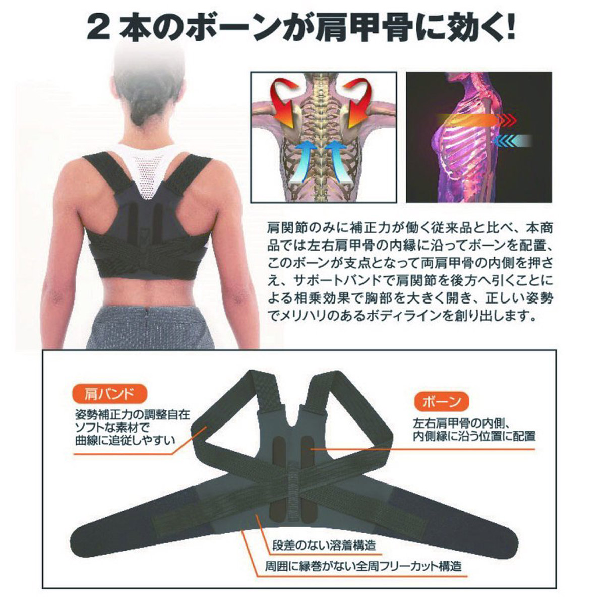 楽天市場】300円OFFクーポン◇姿勢補正 薄型 スタイリーズユナイター