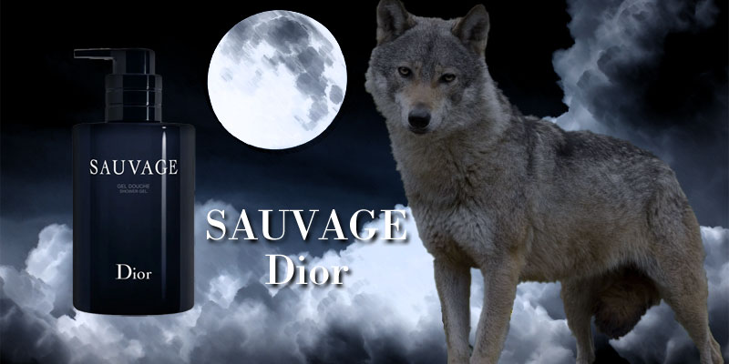 楽天市場】【先着限定☆最大1200円OFFクーポン（3/4 20:00