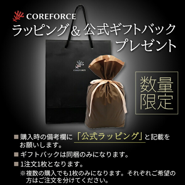 楽天市場】コアフォースループ K10 ホワイトゴールド 全長50cm