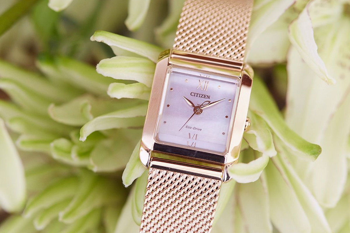 楽天市場】【3/1限定！10％OFFクーポン＆抽選で最大10000ptバック