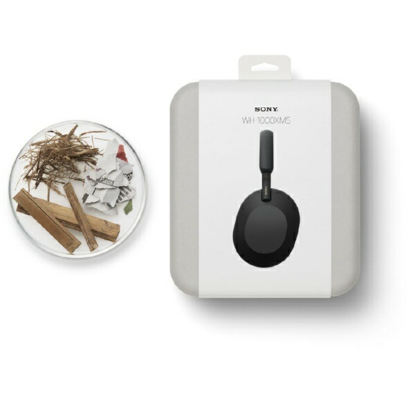 楽天ビック｜【エントリーで最大2万ポイント当たる｜2/25まで】 SONY