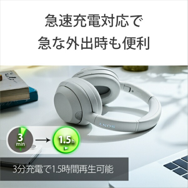 楽天ビック｜【エントリーで最大2万ポイント当たる｜2/25まで】 SONY