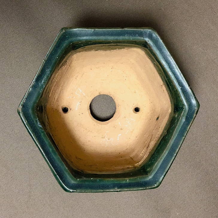 楽天市場】盆栽鉢 常滑 秀峰 小型 長辺 約13.5cm 六角鉢 緑釉 釉薬