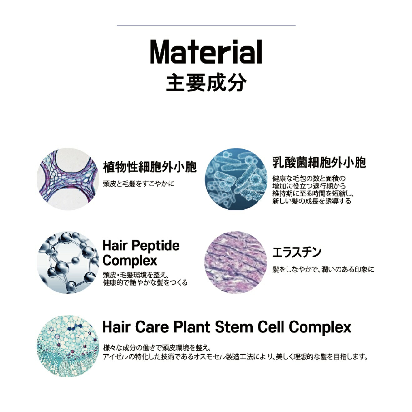 楽天市場】Dr.sis クリームシャンプー シリコンフリー育毛シャンプー