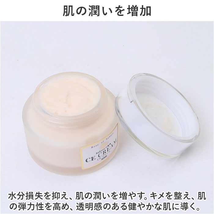 保湿クリーム 通販 CE クリーム 50g スキンケア 保湿 モイストクリーム