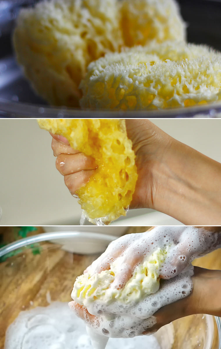 楽天市場】天然海綿「ベリーニ」（ハニコム種）高品質スポンジ ボディ