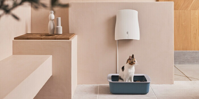 楽天市場】サンスター QAIS-air- 04A1J クワイスエアー 専用スタンド