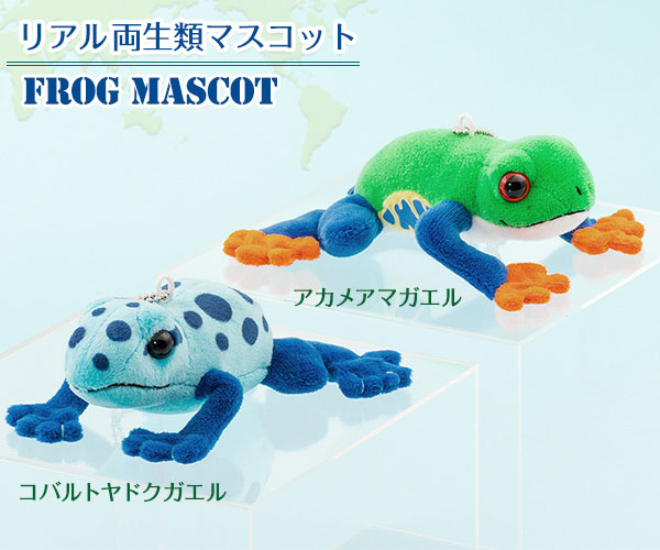 楽天市場】カエル 蛙 ぬいぐるみ リアル 両生類 マスコット チェーン付