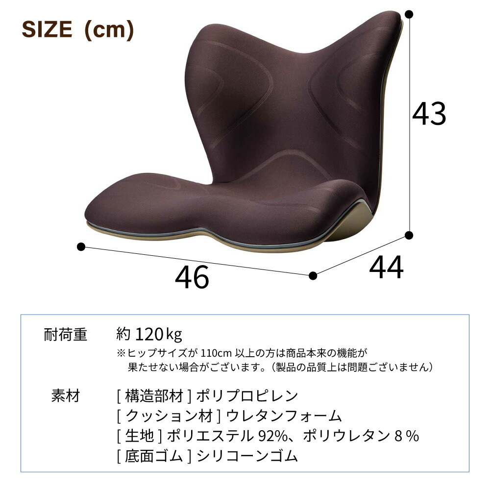 楽天市場】[最大400円OFFクーポン配布中] 【選べるW特典a】姿勢