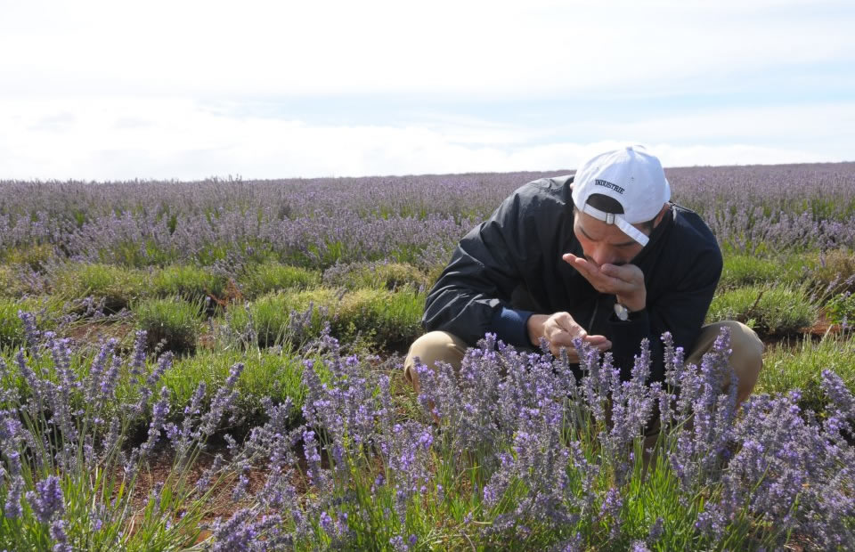 楽天市場】阿原YUAN キンギンカソープ 金銀花 115g【ユアンソープ 無