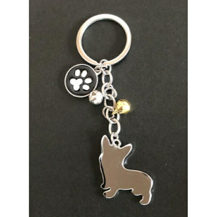 楽天市場】犬 ボストンテリア チワワ ジャックラッセル コーギー