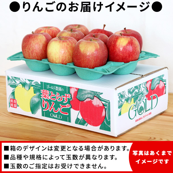 りんご の常識を変える☆葉とらず栽培 本場青森ゴールド農園 送料無料