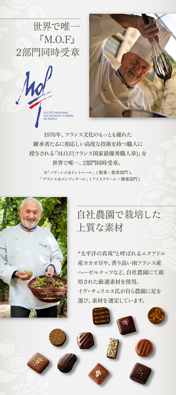 楽天市場】自社農園で栽培した上質な原材料を使用 イヴ・チュリエス 8