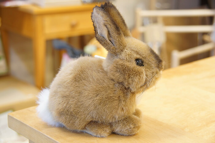 楽天市場】【在庫有り】Kosen ケーセン ドイツ製 ぬいぐるみ うさぎの