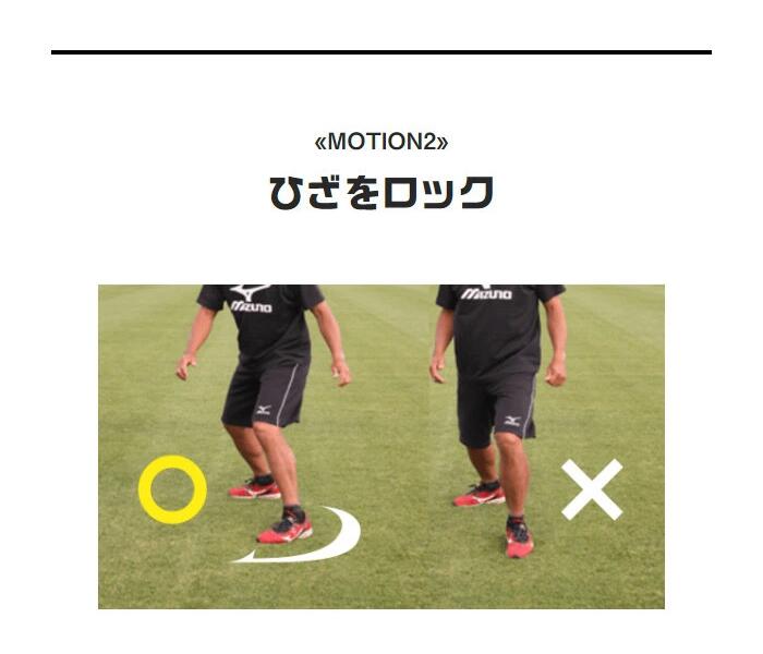 楽天市場】タニラダーベーシック シングルセット（サッカー版）DVD