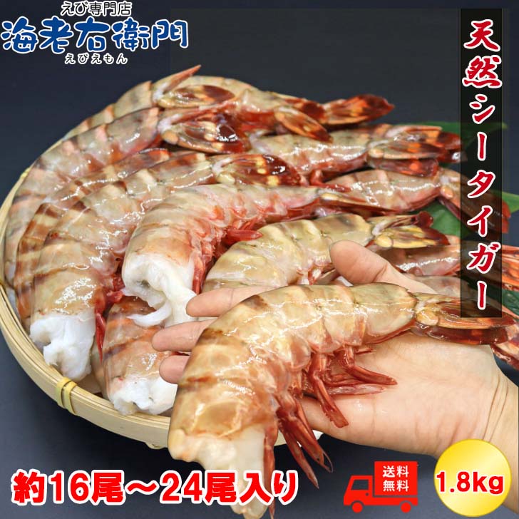 楽天市場】超超超特大サイズ 約16尾～24尾入り 4/6サイズ天然シー