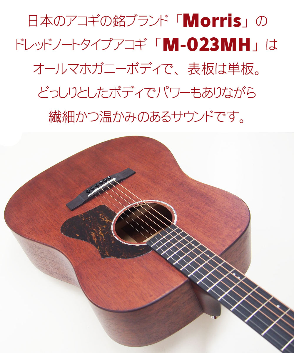 楽天市場】アコースティックギター Morris M-023 MH モーリス アコギ