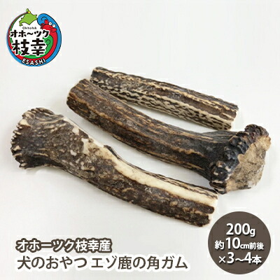 楽天市場】【ふるさと納税】北海道枝幸産 ヒグマの爪ストラップ 4.5cm