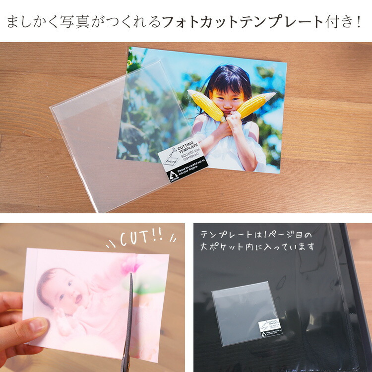 楽天市場】【1000枚 以上 収納】【9色セット/3,240枚収納】ましかく