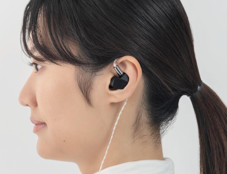 楽天市場】final公式 A5000 final ファイナル カナル型 有線 2ピン