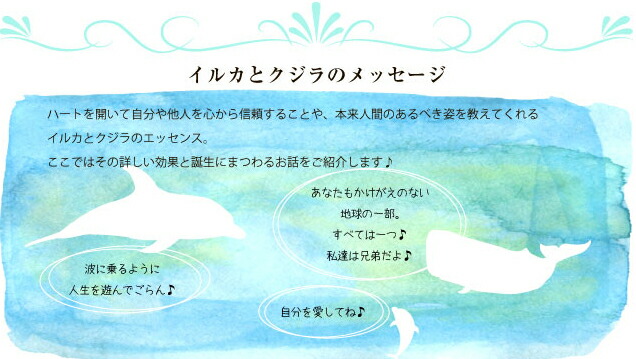 楽天市場】イルカ エッセンス《コルテPHIエッセンス》15ml [デルフ