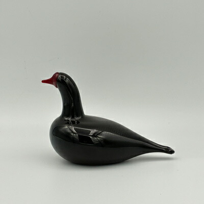 オイバ・トイッカ バード ヴィンテージ ヌータヤルヴィ | free design